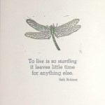Dickinson Dragonfly