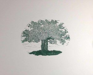 Oak Tree