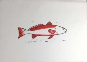 Redfish