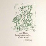 Thoreau Heron